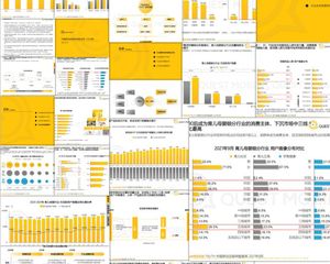 中国移动互联网发展育儿母婴儿童行业2022年2月共2份